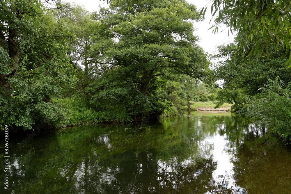 green trees reflecting in the flowing river green trees reflecting in the flowing river