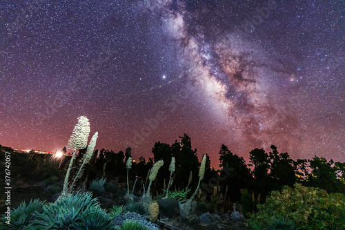 One of the best Milky Ways in the world in the Caldera de Taburiente near Roque de los Muchahos on the island of La Palma, Canary Islands. Spain, astrophotography
