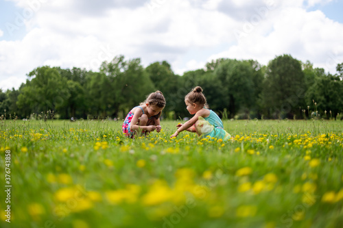 Two girls picking yellow flowers 