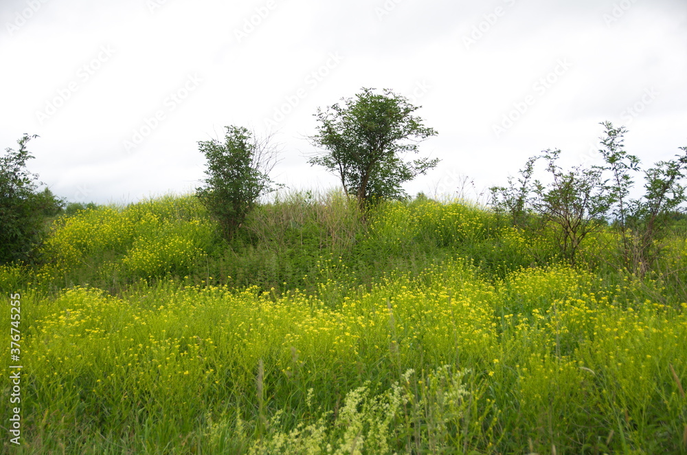 fabulous smells of warm summer