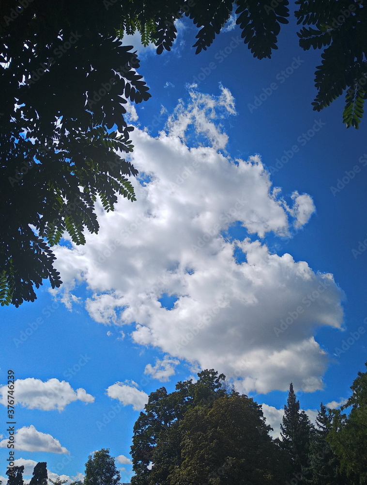 Obraz premium sky and clouds