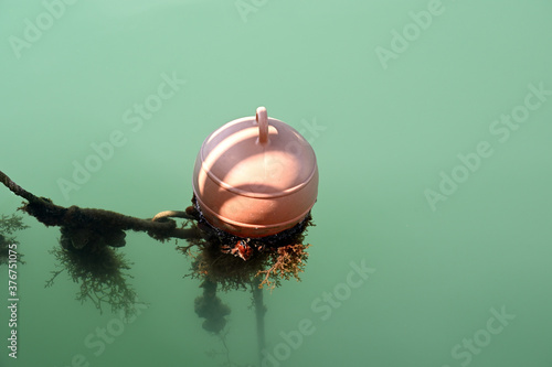 Red buoy flotaing in the water