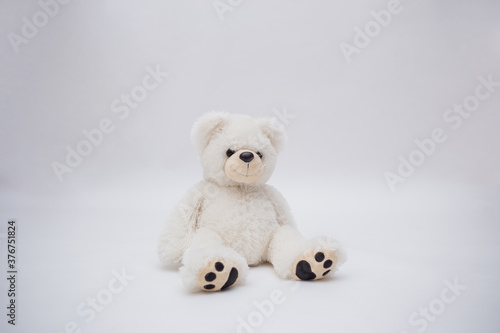White Teddy bear toy on white background