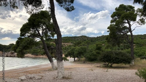 A wild and empty beach with sea and some trees in a cloudy day.