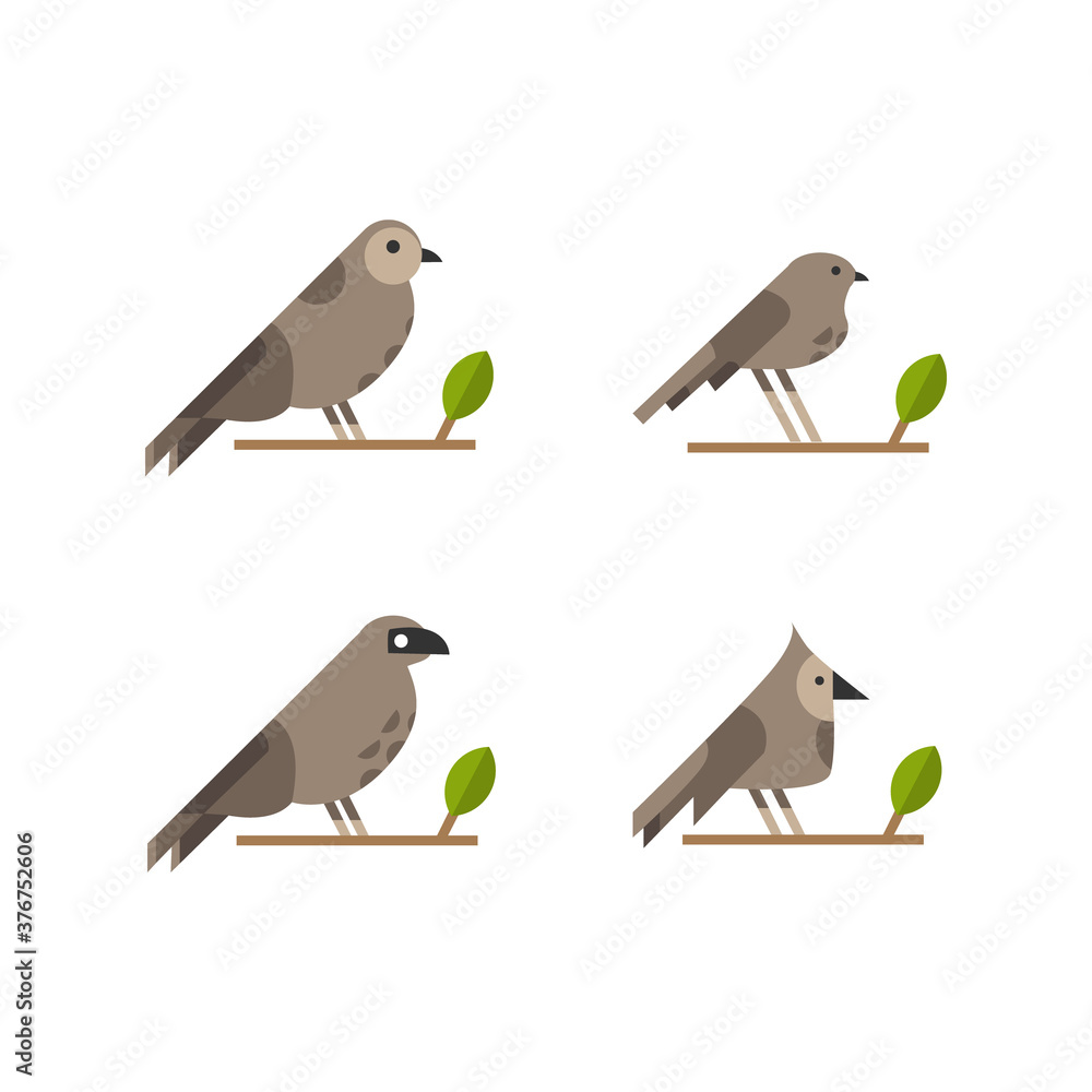 Fototapeta premium Set of illustration animal bird collection design isolated on white background