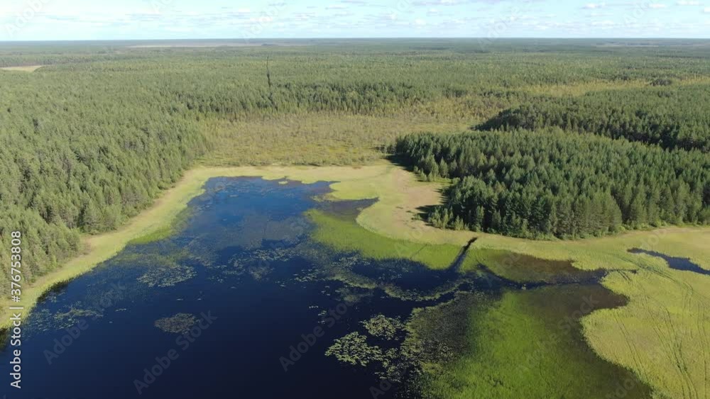 Flight over the taiga forest lake Flight over the taiga forest lake