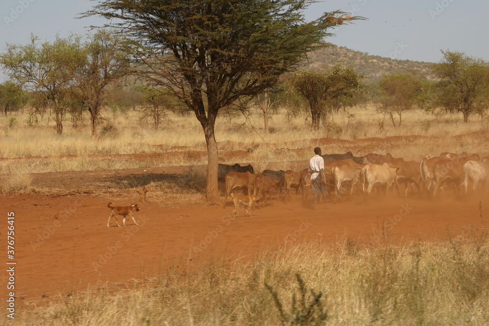 Kenya Kenya