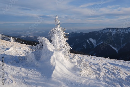 Beautiful winter mountain views during a snowshoe hike along the red ridge trail in the Low Tatras, Slovakia - around Sedlo pod Skalkou photo