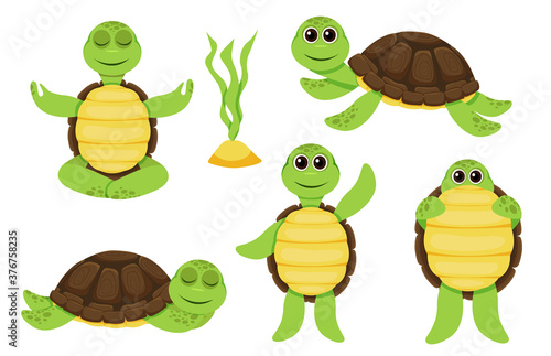 Characters funny turtle baby characters set