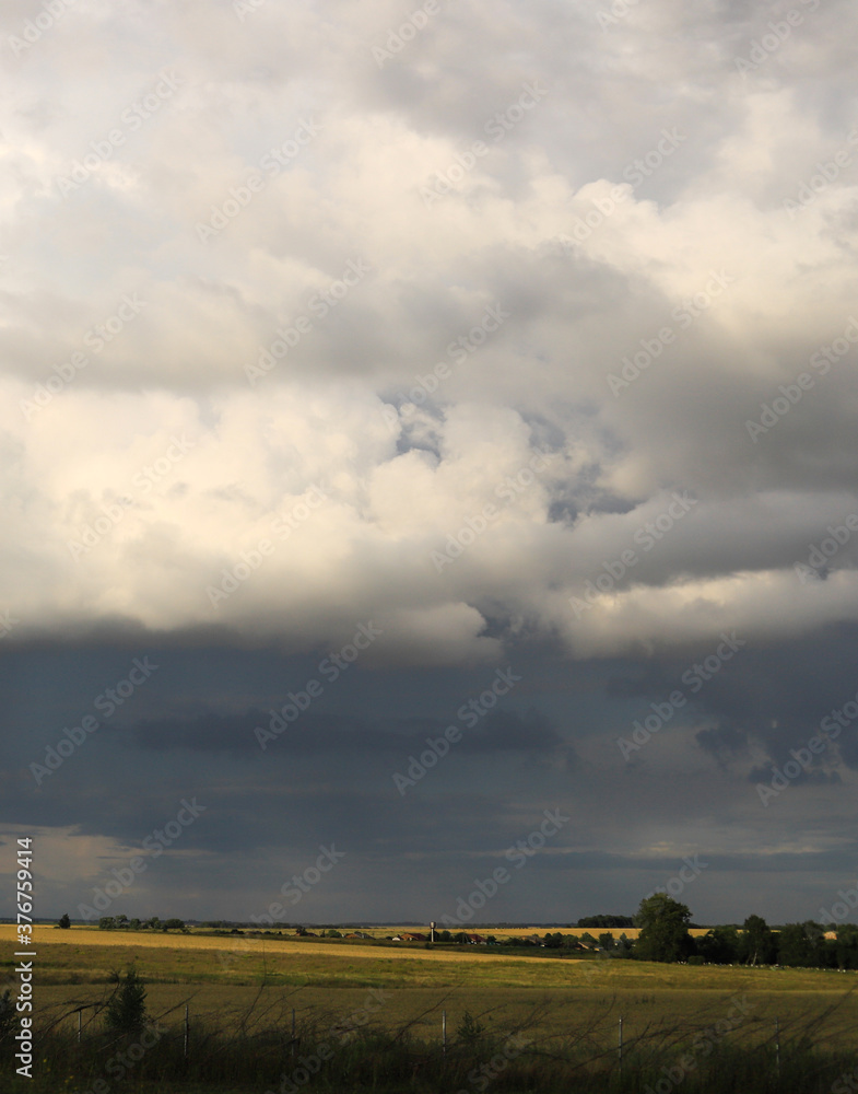 summer landscape with cloudy sky, fields and forests.