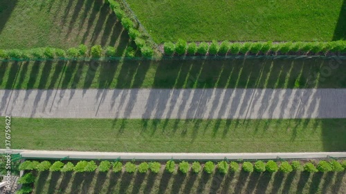 will pass the drone on a romantic path between the green lawn and the boxwood alley. trail from above summer sunny day and private garden - Aerial view photo