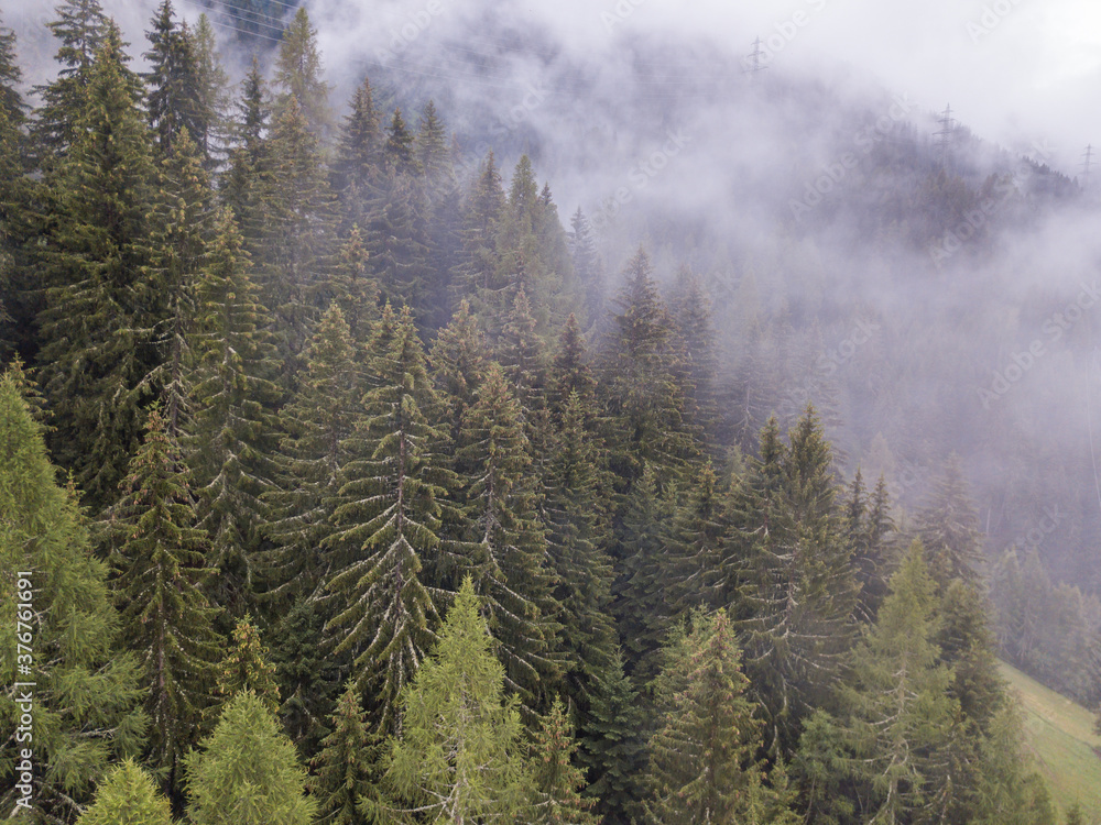 Obraz premium Aerial view of mist and fog in mountain forest in Switzerland. Conifer canopy in alpine area.