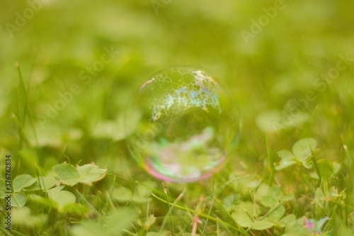 soap bubbles on green grass
