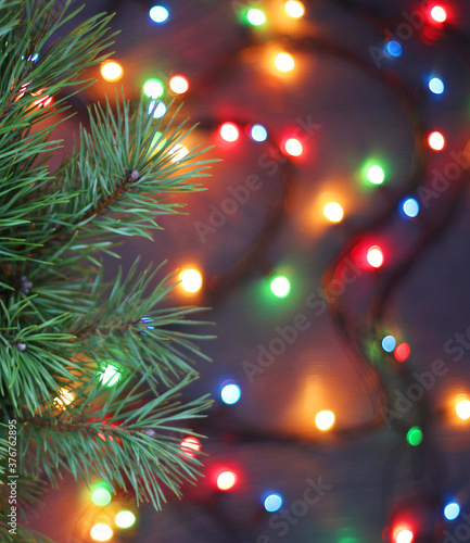 festive Christmas background with pine branches