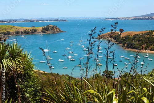 Coastal bay Waiheke Island, Auckland, New Zealand photo