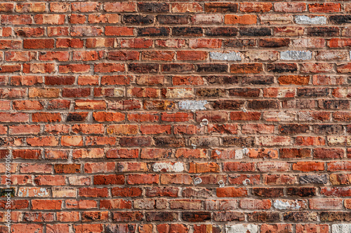 brick wall of red color