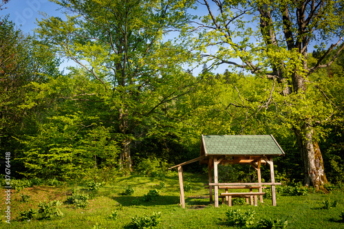 Picnic hut and trees, Pecina Megara near Tarcin, Bosnia and Herzegovina photo