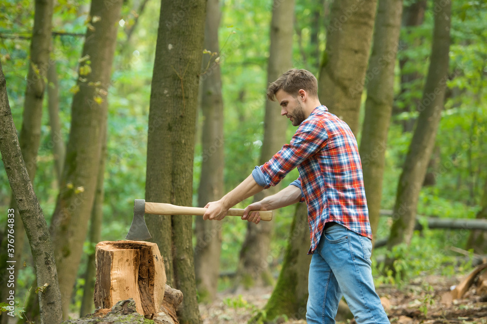 woodsman cut tree stump with ax, outdoor