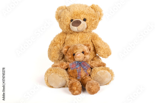 Teddy bear with little bear on white background.