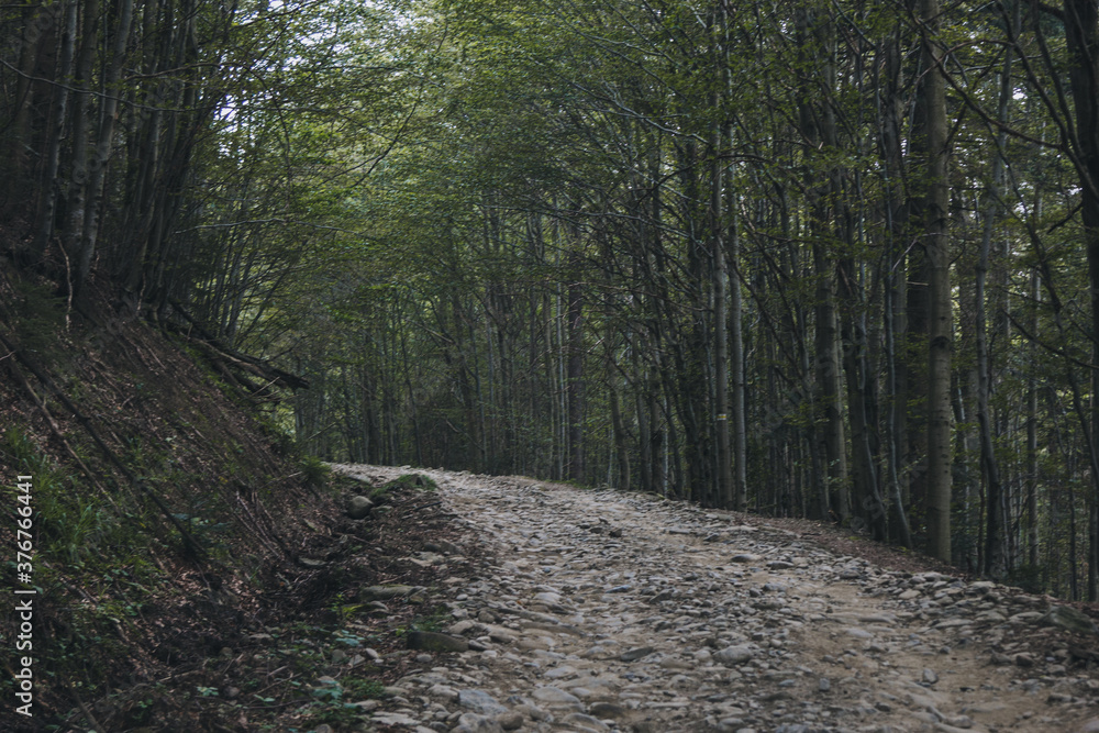 Beautiful landscape in the Carpathians Beautiful landscape in the Carpathians