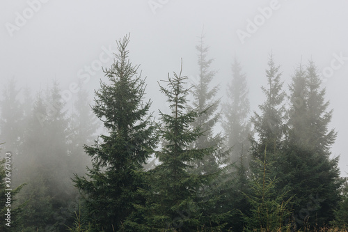 Beautiful landscape in the Carpathians