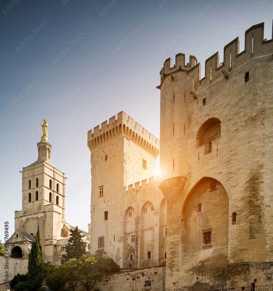 Palace of the Popes and the cathedral, Avignon, Provence, France Palace of the Popes and the cathedral, Avignon, Provence, France