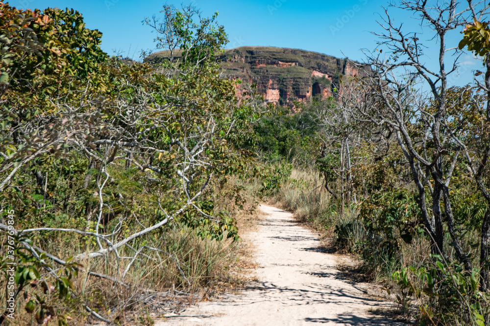 Fototapeta premium Chapada dos Guimarães in Mato Grosso, Brazil.