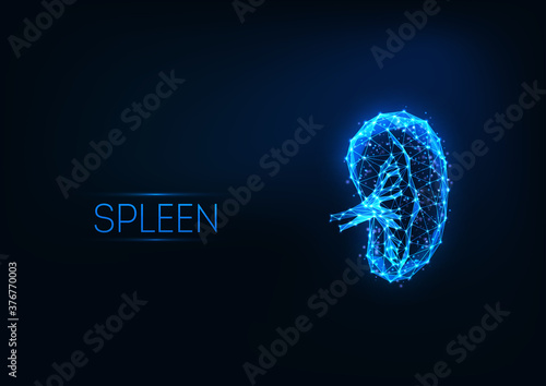 Futuristic glowing low polygonal human spleen hologram isolated on dark blue background. photo