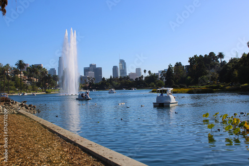 stunning shot of the deep blue lake water, the lush green plants in the middle of the lake, palm trees and people on the water in swan shaped pedal boats  at Echo Park Lake in Los Angeles California