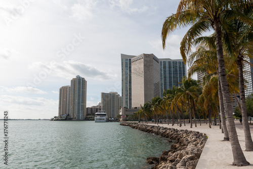 Skyscraper on shoreline, Downtown Miami, Miami, Florida, USA © Image Source