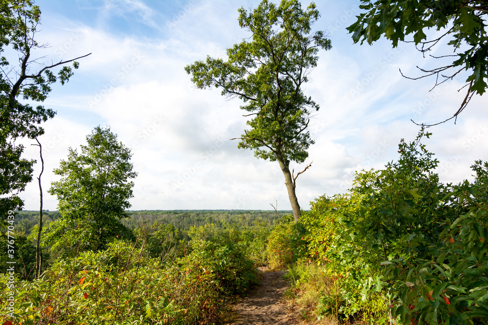 Fototapeta premium Landscape along the sandy trails of Dunes Ridge Trail on a beautiful late summer morning. Indiana Dunes National Park, Indiana, USA