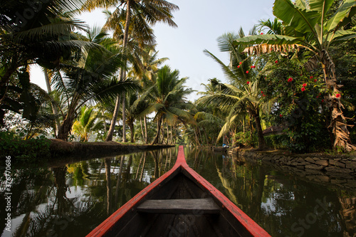 Rowing boat and palm trees on Kerala backwaters, Kollam, Kerala, India photo