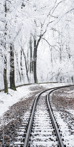 Train tracks leading throug...