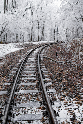 Train tracks leading through snow into forest