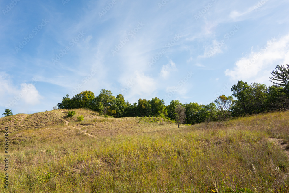Landscape along the sandy trails of Dunes Ridge Trail on a beautiful late summer morning.  Indiana Dunes National Park, Indiana, USA
