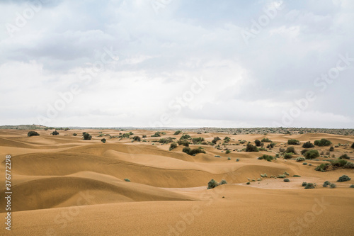 Thar desert, Jaisalmer, Rajasthan, India photo