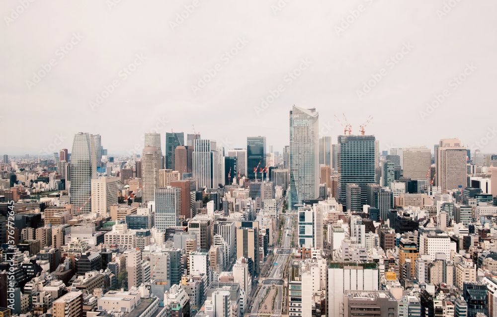 Aerial view of densely populated city, Tokyo, Japan Aerial view of densely populated city, Tokyo, Japan