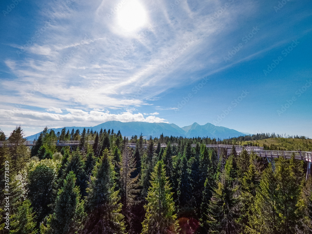 Wooden pier, treetop path in a mountain setting.
Mountain peaks in the background Wooden pier, treetop path in a mountain setting.
Mountain peaks in the background
