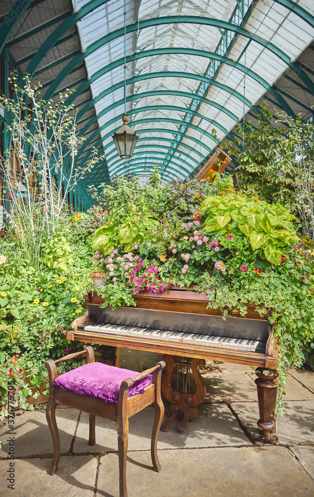Classic piano with a purple stool, surrounded by various kinds of flowers and plants. Natural music concept, urban music