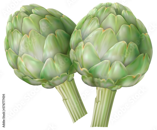 Artichoke vegetables on a white background