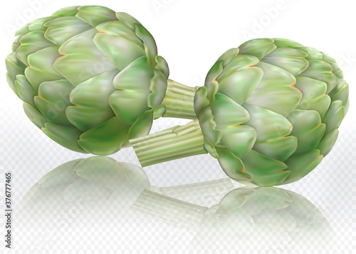 Artichoke vegetables on a transparent background