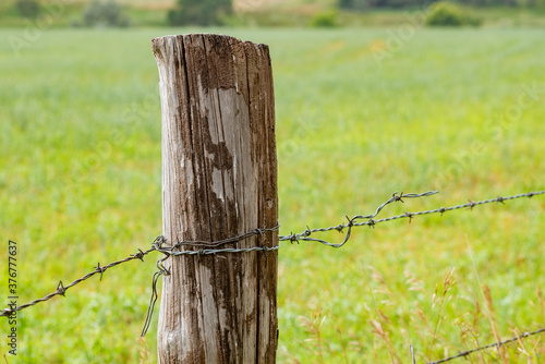 barbed wire fence