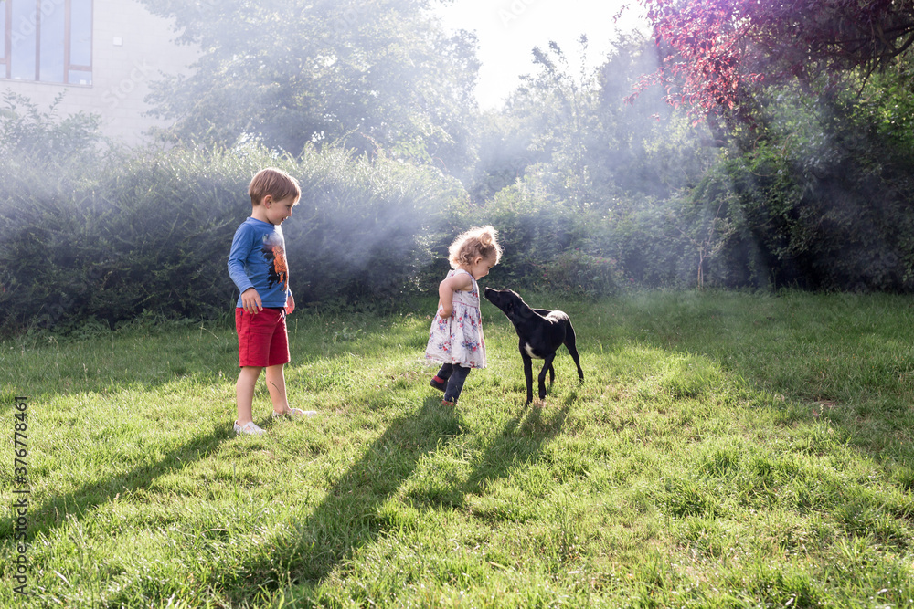 Obraz premium chien noir joue avec une petite fille et son frère