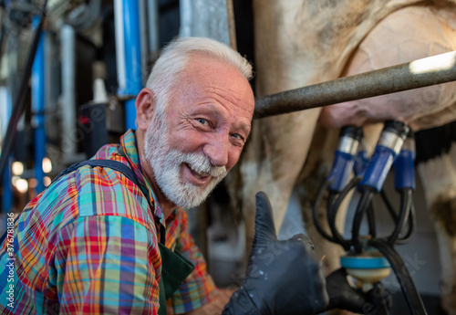 Cuadro en lienzo Portrait of man at milking production