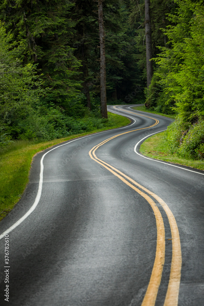 Empty road passing through forest Empty road passing through forest