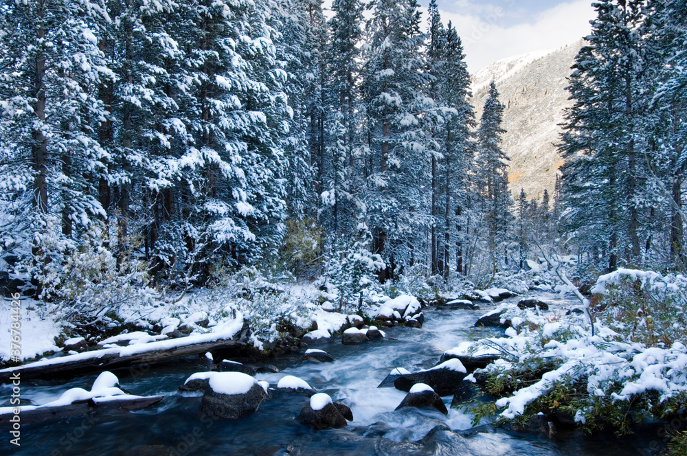 Bishop Creek in Eastern Sierra Nevada mountains in winter Bishop Creek in Eastern Sierra Nevada mountains in winter