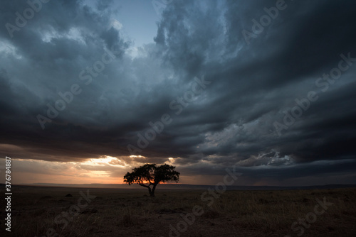 View of tree against stormy clouds during sunset