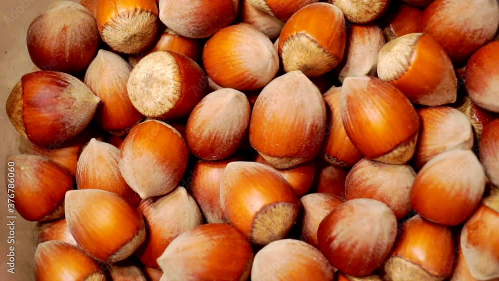 unpeeled hazelnuts close up.view from above.background of hazelnuts unpeeled hazelnuts close up.view from above.background of hazelnuts