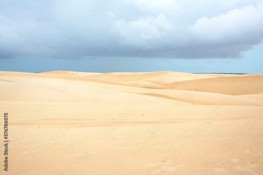 sand dunes in the desert