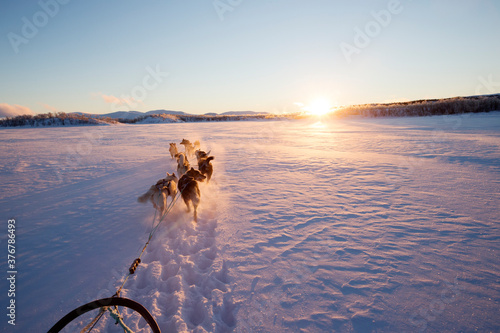 Dogs pulling sledge on snow covered landscape photo